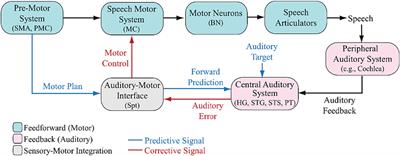 On the interplay between speech perception and production: insights from research and theories